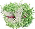 HAHIYO 700Pcs 3mm Light Green Pearl Double Head Flower Stamen Pistil Hand-Made Artificial Flower Pistil para Flore Pearlized Floral Stamen Flower Pollen Stamen for Flower Making Scrapbook Decoration