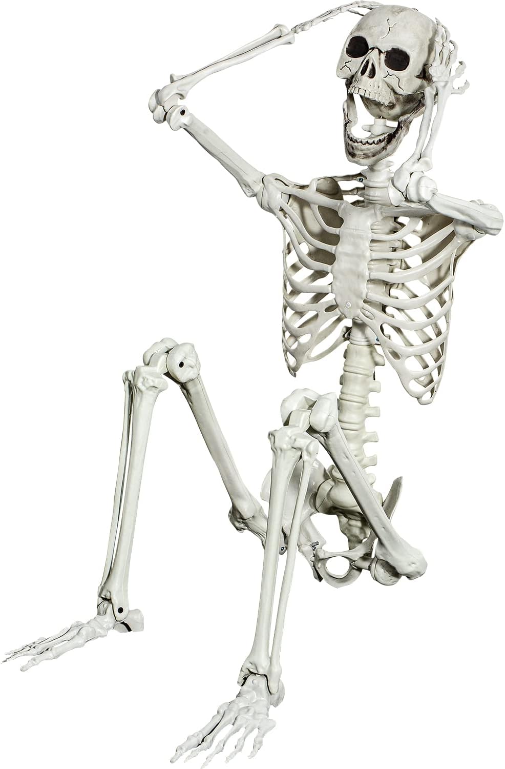 5.4ft Posable Halloween Skeleton - Full Body Life Size Skeleton Bones with Mo...
