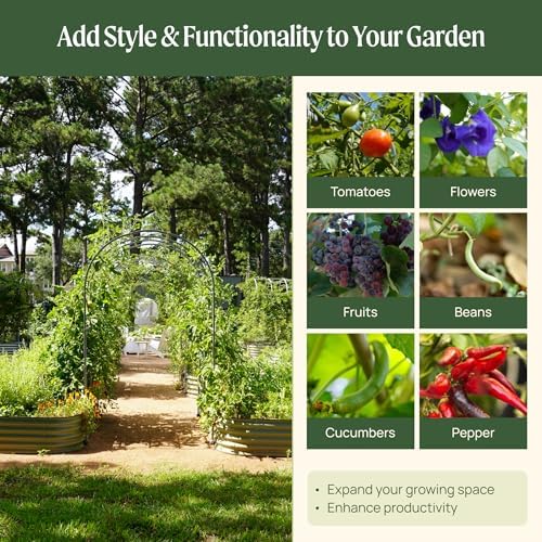 vego garden modular arched trellis system 4.5' long on a desk or shelf