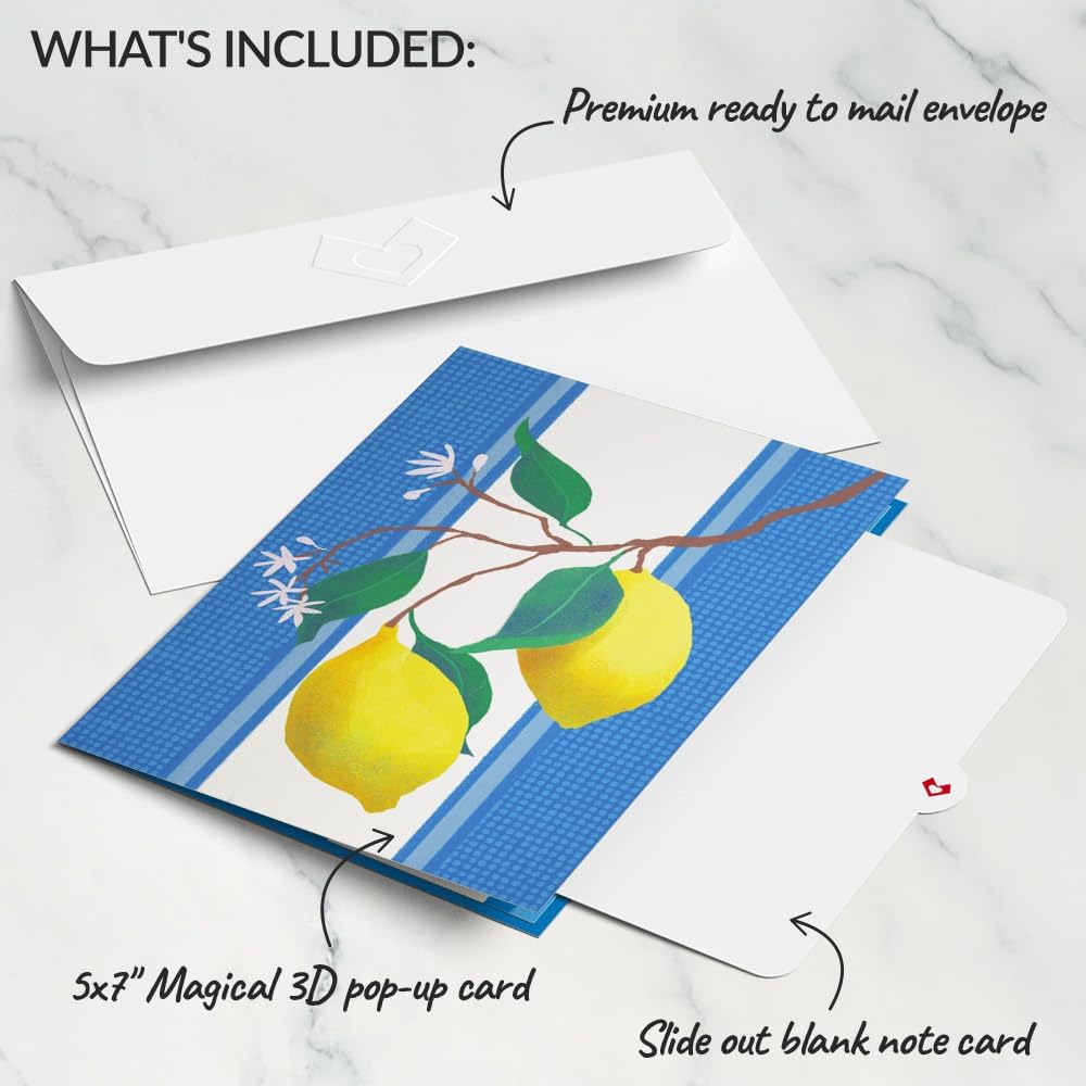 Lovepop Everyday Pop-Up Card for Her and Him - 3D Greeting Cards for Boys, Girls, Men, Women - Mediterranean Lemons - 5" x 7" Card - Blank Notecard & Envelope Included