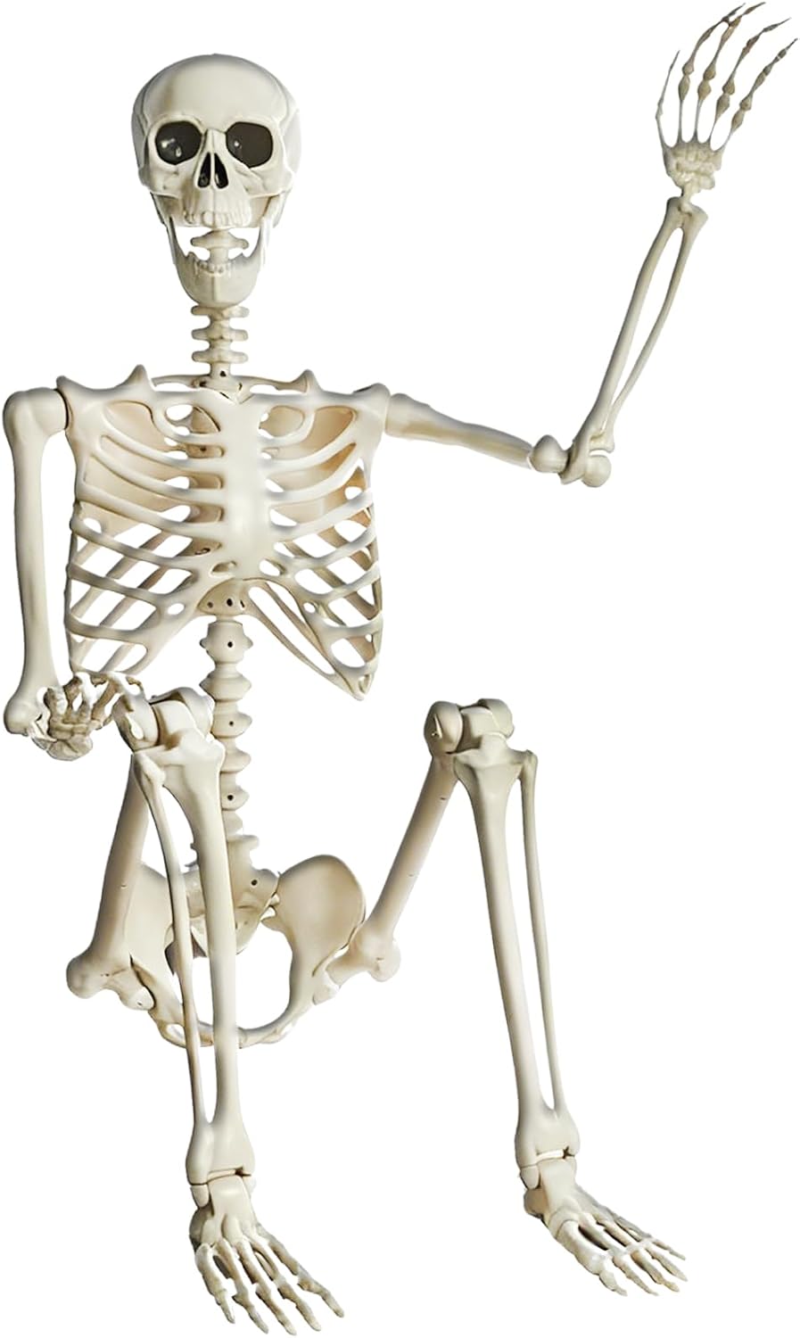 5.4FT Life Size Posable Halloween Skeleton Decorations, Full Body Realistic P...