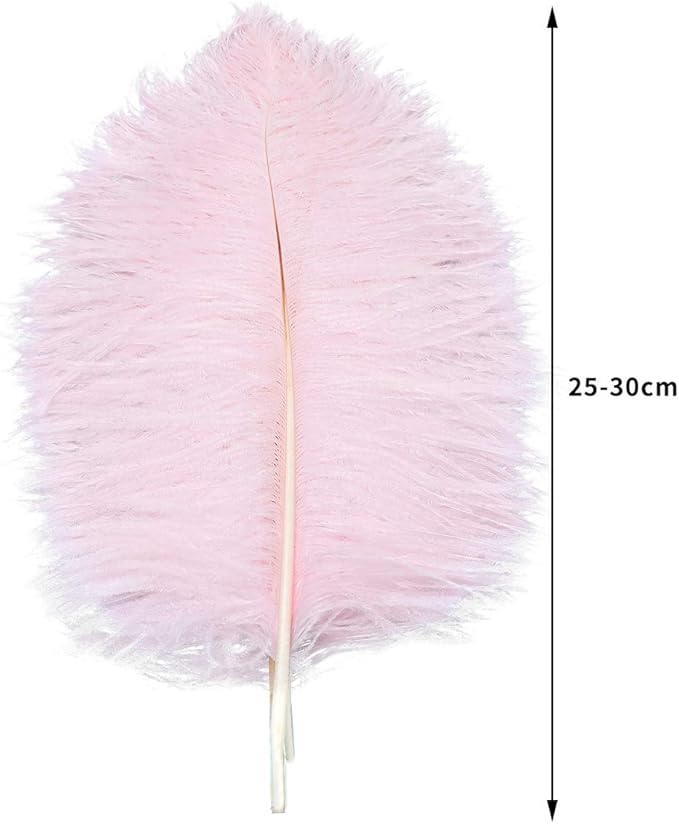 24pcs Natural Light Pink Ostrich Feathers 10-12inch (25-30cm) for Wedding Party Centerpieces，Flower Arrangement and Home Decoration.