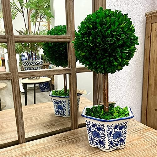 galt international naturally preserved boxwood ball topiary tree, package contents
