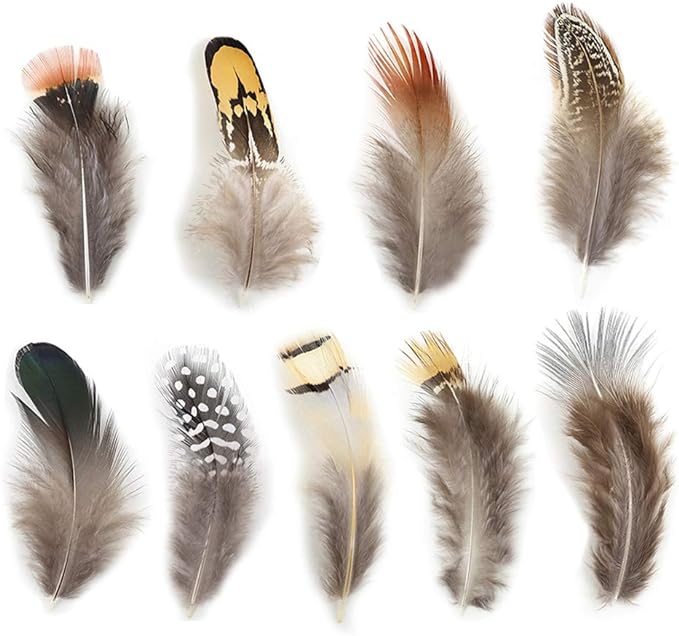180pcs 9 Styled Natural Feathers Assorted Mixed Feathers for Jewelry and Dream Catcher Crafts