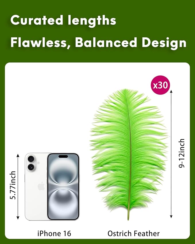 NEWONG 30pcs Fruit Green Ostrich Feathers Natural Bulk 9-12inch(23-30cm) Vase Craft Wedding Home Party Centerpieces Christmas Day Decoration