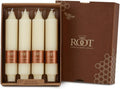 Root Candles 4-Count Unscented Dinner Candles Dripless Beeswax Enhanced Grecian Collenette Boxed Candle Set, 7-Inch, Ivory