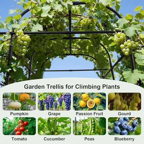 gojaway 7*5.4* 5ft arch metal garden trellis,outdoor climbing showing dimensions