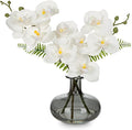 White Orchids Artificial Flowers with Vase, Small Faux Orchid Arrangement Fake Flower in Woven Glass Vase Black and White Decor Small White Centerpieces for Kitchen Dining Room Tables Bathroom Decor