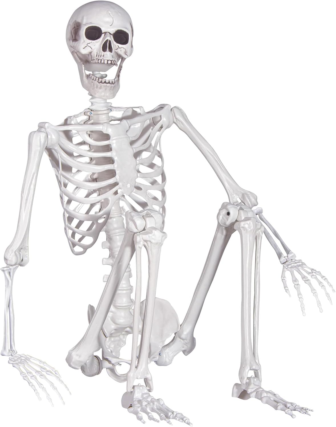 Halloween Skeleton, Realistic Life Size Skeleton with Movable Joints for Hall...