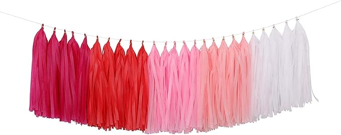 Fonder Mols Tassel Garland DIY Kit (25pcs, Pink Ombre) - Balloon Tail Banner - Bachelorette Party & Baby Shower Decorations