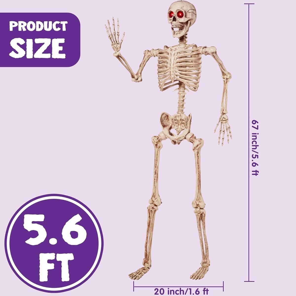 JOYIN 5.6 FT Halloween Posable Skeleton Life Size with LED Red Glowing Eyes, ...
