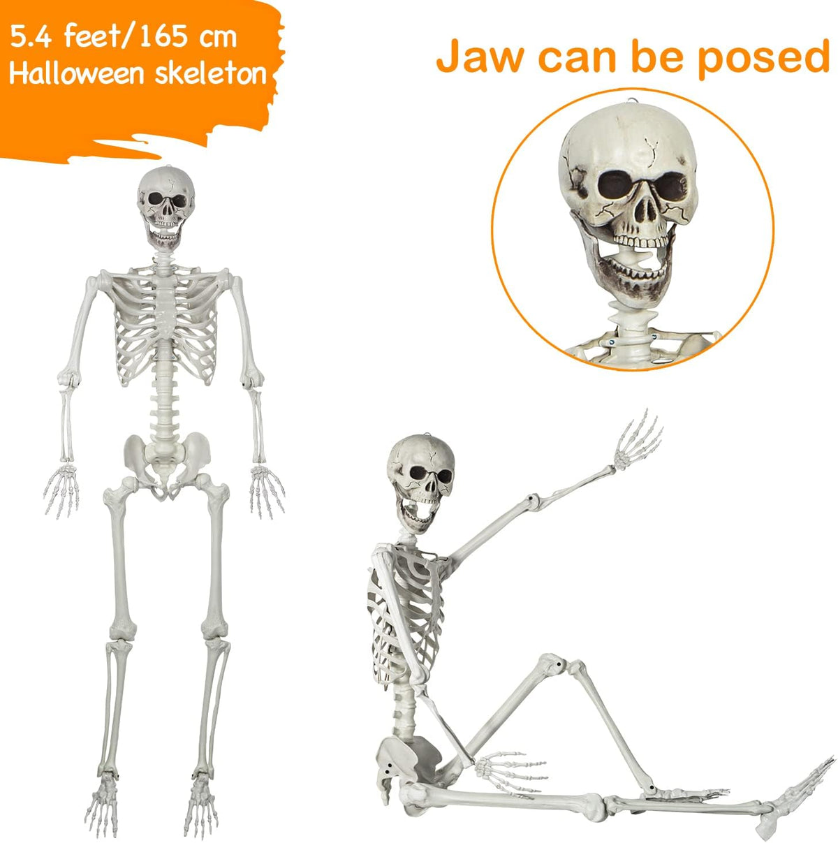 5.4ft Posable Halloween Skeleton - Full Body Life Size Skeleton Bones with Mo...