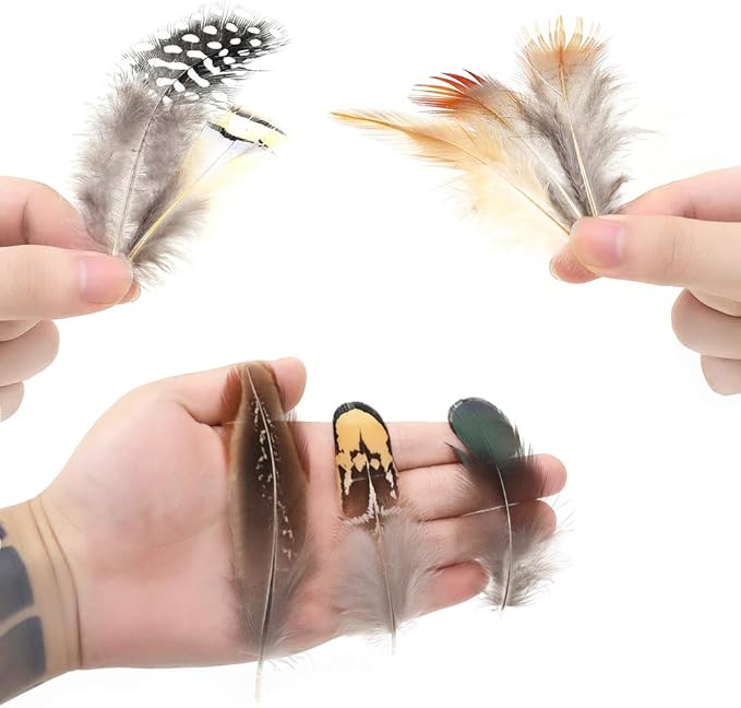 Ballinger 240pcs 12 Styled Natural Feathers Assorted Mixed Feathers for Jewelry and Dream Catcher Crafts Decoration