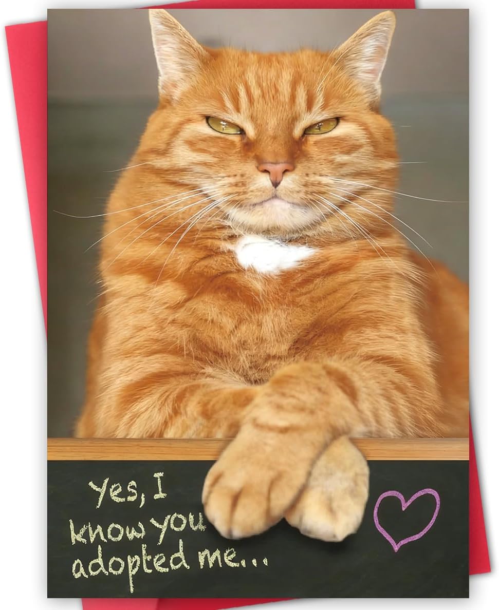 Funny Dad Fathers Day Card from Cat, Humor Cat Dad Gifts on Father's Day, Gift for Pet Cats Lover
