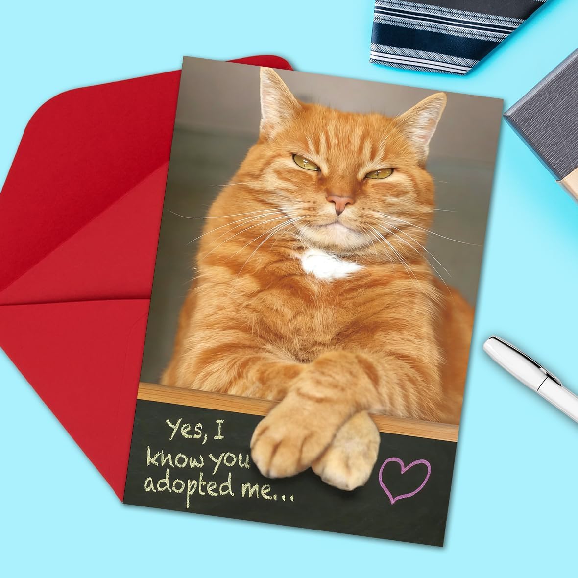 Funny Dad Fathers Day Card from Cat, Humor Cat Dad Gifts on Father's Day, Gift for Pet Cats Lover