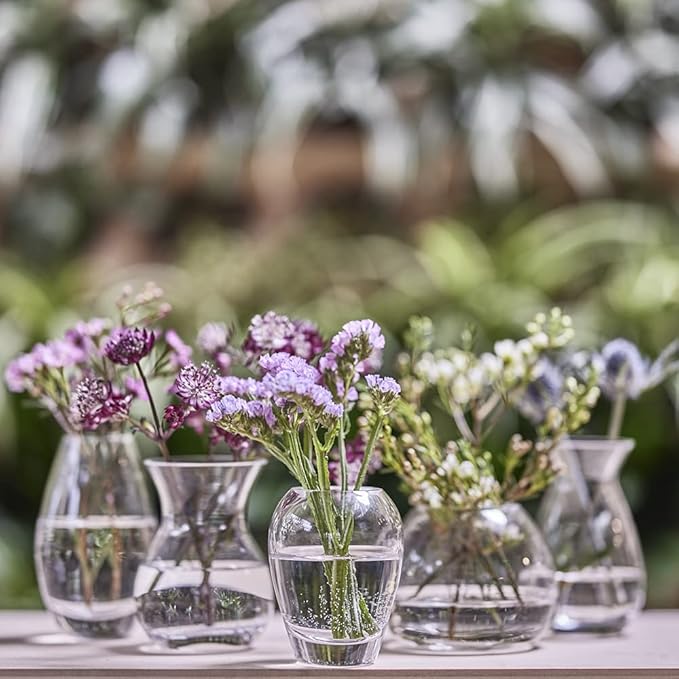 CHIVE ‘George’ Glass Bottle Flower Vases — Set of 6 — Small, Elegant Clear Glass Bud Vases — Bulk Pack for Home Decor & Table Centerpieces — Shape 4 (Oval, 4” Tall, 3” Wide)