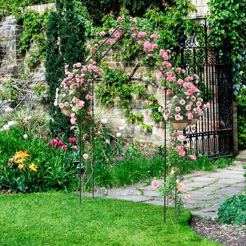 heavy duty garden arch trellis for climbing plants, side view