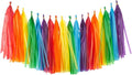 Rainbow Tissue Paper Tassels Colorful Party Tassel Garland Banner Decorations, DIY Kits,Pack of 30