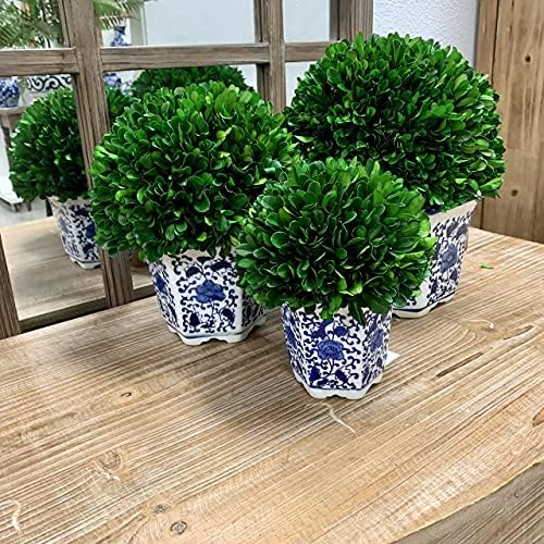 galt international 11" naturally preserved real boxwood ball showing dimensions