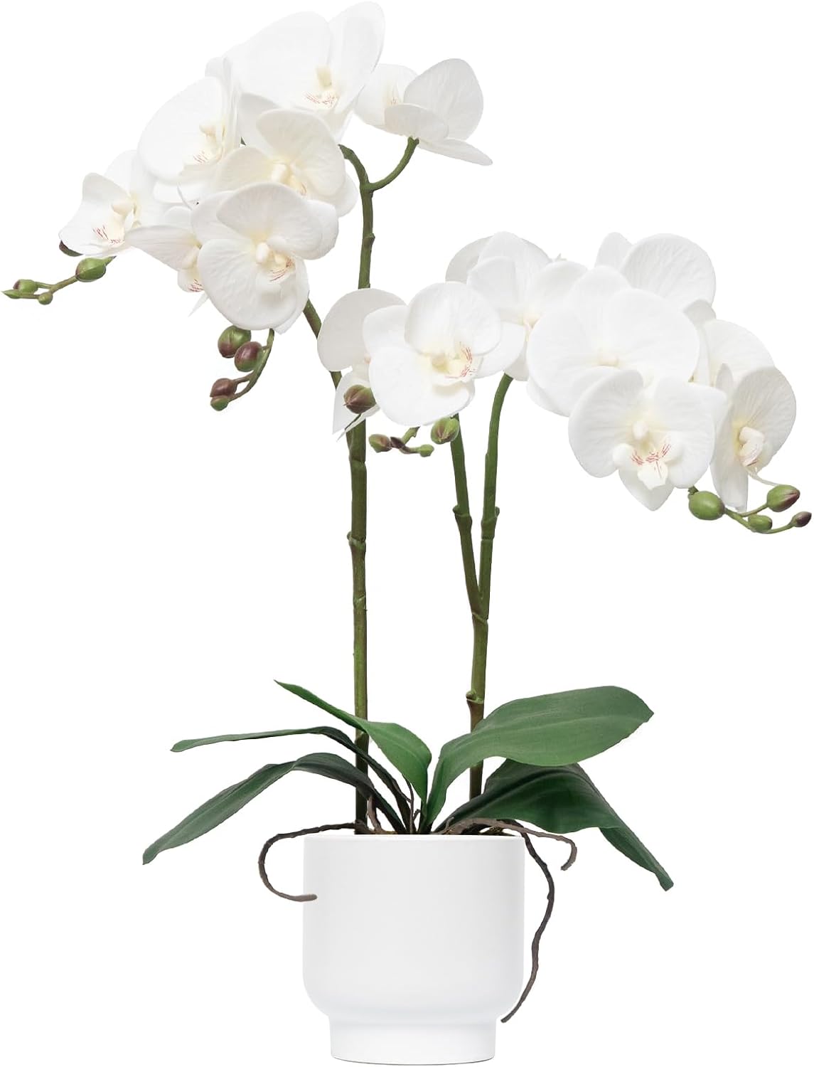 CXGS Orchids Artificial Flowers Real Touch Fake Flowers in Ceramic Pot 20&quo...