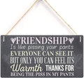 Rustic Wooden Signs Friendship Is like pissing your pants Sign Hanging Wall Art, Decorative Funny Sign Wall Art Decor Kitchen Cafe Pub Decor Gift 6x12 INCH
