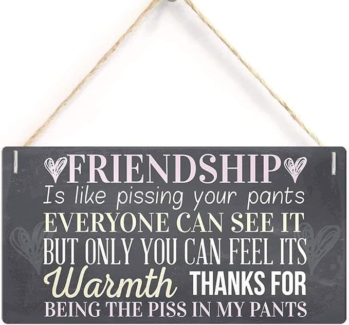 Rustic Wooden Signs Friendship Is like pissing your pants Sign Hanging Wall Art, Decorative Funny Sign Wall Art Decor Kitchen Cafe Pub Decor Gift 6x12 INCH