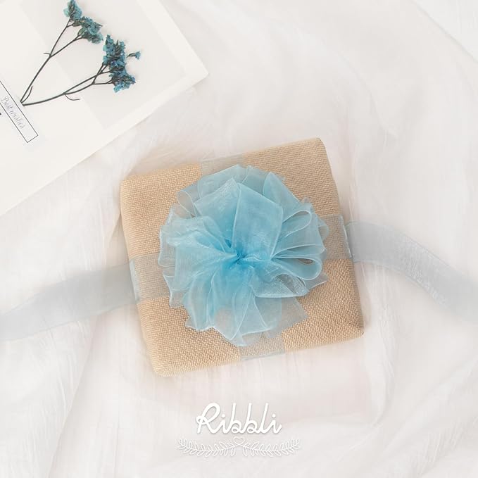 Ribbli Light Blue Organza Ribbon,1/2 Inches x Continuous 50 Yard,Light Blue Sheer Ribbon for Gift Wrapping,Cookie Wrapping,Wedding Decoration,All Crafting and Sewing