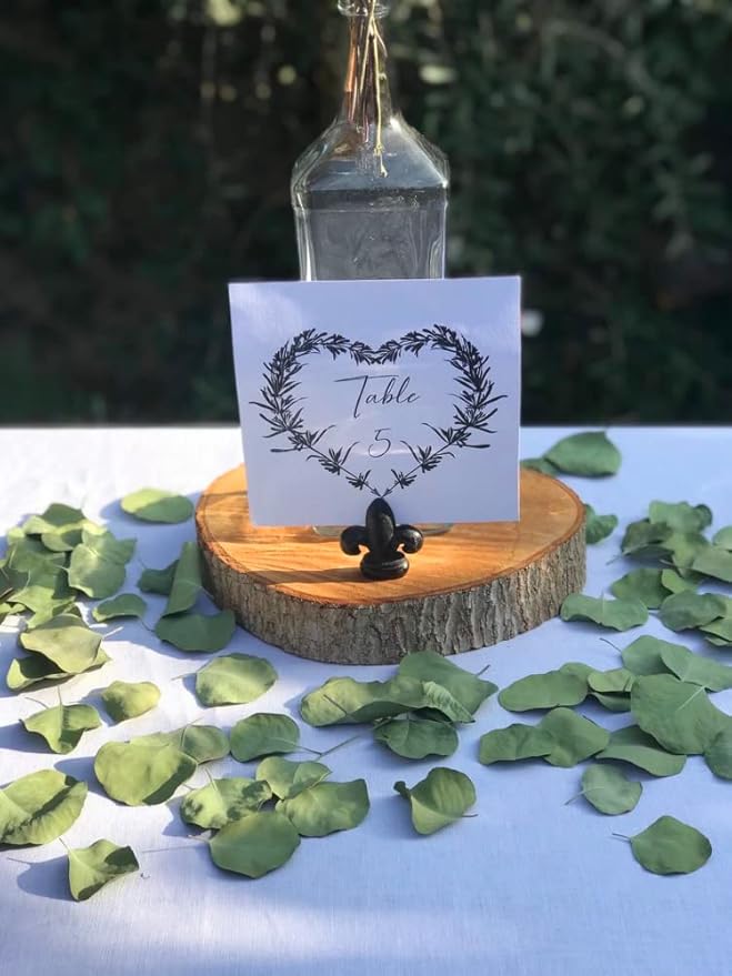 300+ Pcs Dried Real Eucalyptus Leaves, Rustic Boho Wedding Table Decor, 100% Natural Preserved Silver Dollar Eucalyptus Decor Green Leaves, Biodegradable Confetti for Weeding, DIY, Baby Shower, Cake1