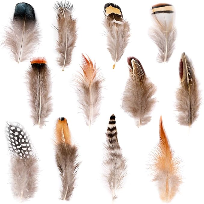 Ballinger 240pcs 12 Styled Natural Feathers Assorted Mixed Feathers for Jewelry and Dream Catcher Crafts Decoration