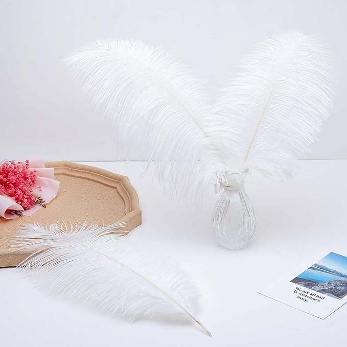 Ballinger Large White Ostrich Feathers - 24Pcs 12-14inch Large Feathers for Vase,Party Centerpieces,Wedding and Home Decor