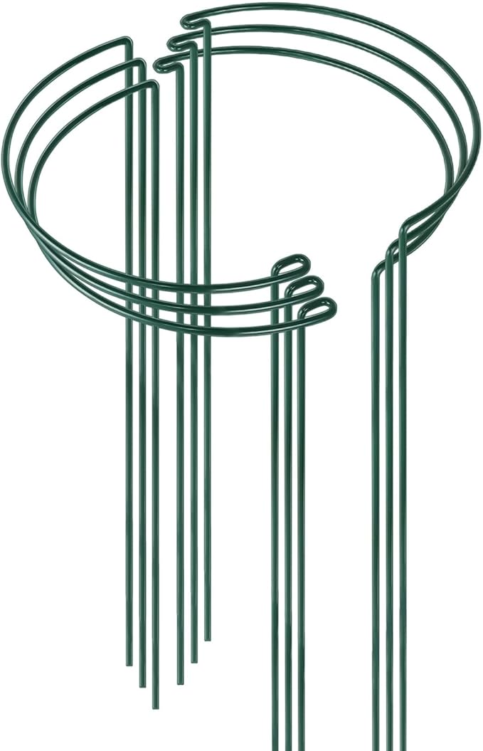 HiGift 6 Pack 24 Inch Plant Stakes, 10" Wide x 24" High Half Round Metal Peony Cages and Support, Green Garden Plant Stake Plant Support Ring Border for Peony Tomato,Hydrangea,Flower Indoor Outdoor