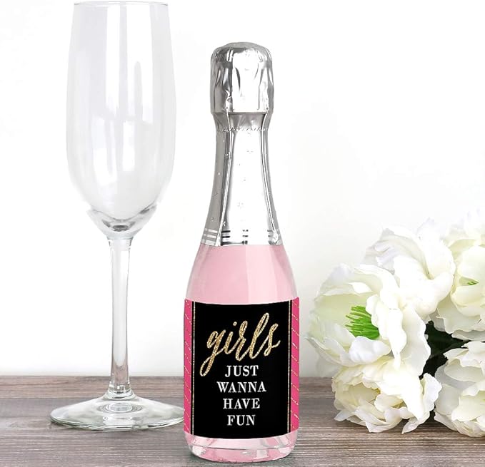 Big Dot of Happiness Girls Night Out - Mini Wine and Champagne Bottle Label Stickers - Bachelorette Party Favor Gift for Women and Men - Set of 16