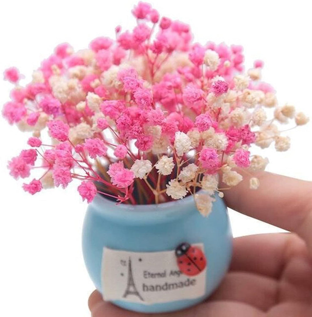 3000+ Mini Dried Baby's Breath Flowers, 6'' Natural Ivory White Flowers for Resin Art Craft DIY, 65Pcs Pressed Gypsophila Bouquet Present for Valentine's Day, Wedding Wreath, Card Making, Home Decor