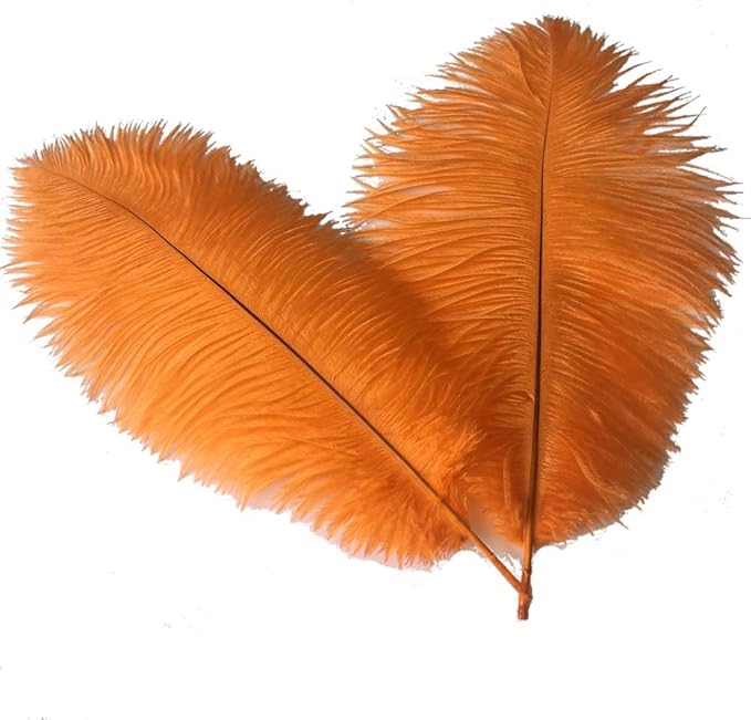 Sowder 6-8inch(15-20cm) Ostrich Feathers Plume for Wedding Centerpieces Home Decoration Pack of 10pcs(Orange)