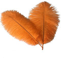 Sowder 6-8inch(15-20cm) Ostrich Feathers Plume for Wedding Centerpieces Home Decoration Pack of 10pcs(Orange)