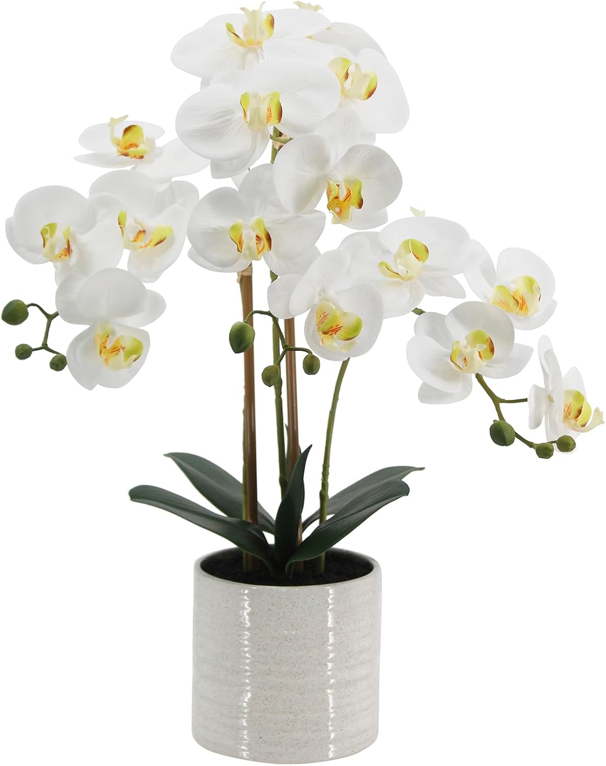 faux orchid plant 23" tall, realistic touch leaves, main product view