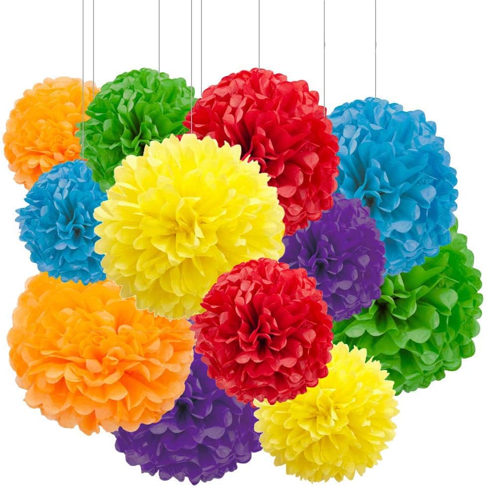 Aimto 12pcs Rainbow Paper Pom Poms Decorations for Party Ceiling Wall Hanging Tissue Flowers Decorations - 6 Colors of 12 Inch, 10 Inch