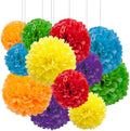 Aimto 12pcs Rainbow Paper Pom Poms Decorations for Party Ceiling Wall Hanging Tissue Flowers Decorations - 6 Colors of 12 Inch, 10 Inch