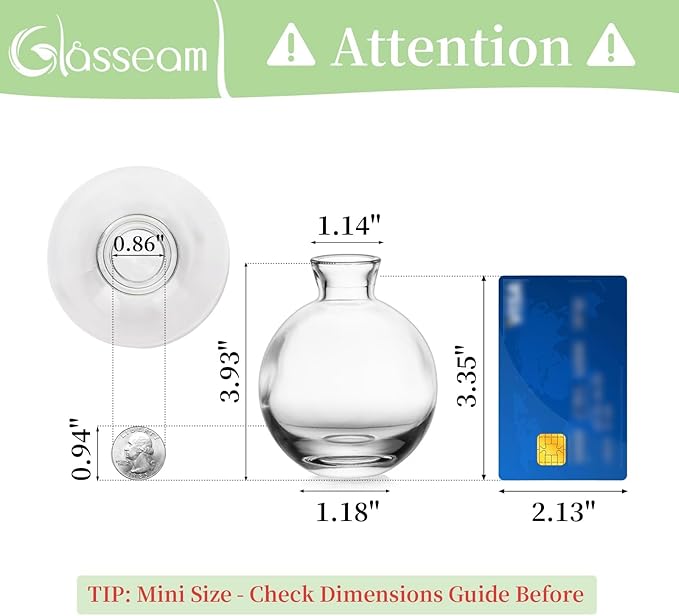 Glasseam Clear Glass Bud Vase, 3Pcs/Set Modern Decorative Small Mini Flowers Vases Short Minimalist Aesthetic Home Decor Vintage Cute Handmade Tiny Wedding Table Centerpieces for Single Flower Rose