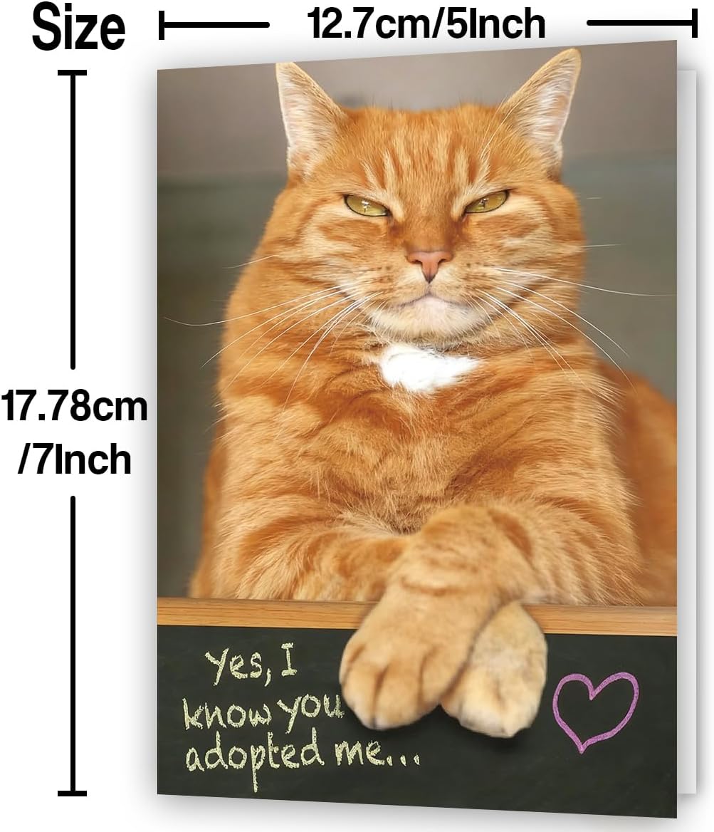 Funny Dad Fathers Day Card from Cat, Humor Cat Dad Gifts on Father's Day, Gift for Pet Cats Lover