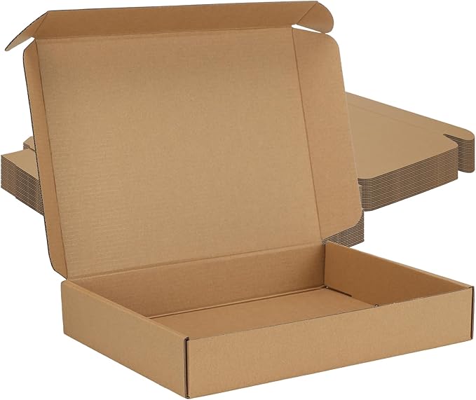 MEBRUDY 12x9x2 Inches Shipping Boxes Pack of 20, Small Corrugated Cardboard Box for Mailing Mailer Packing, Brown