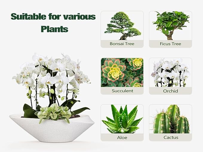 Bonsai Pots - 18 Inch Ceramic Plant Pot for Bonsai Tree, Modern Indoor & Outdoor Succulent Planter with Drainage, Room Decor, Gifts for Plant Lovers, White-Black