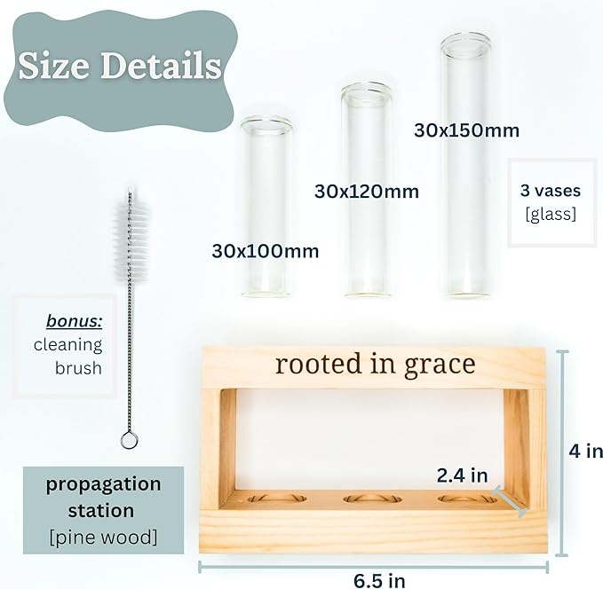 Rooted in Grace: Plant Propagation Stations: Plant Cutting Holder w/ 3 Glass Propagation Vases, Unique & Encouraging Christian Gifts for Women, Faith-Inspired Home Decor