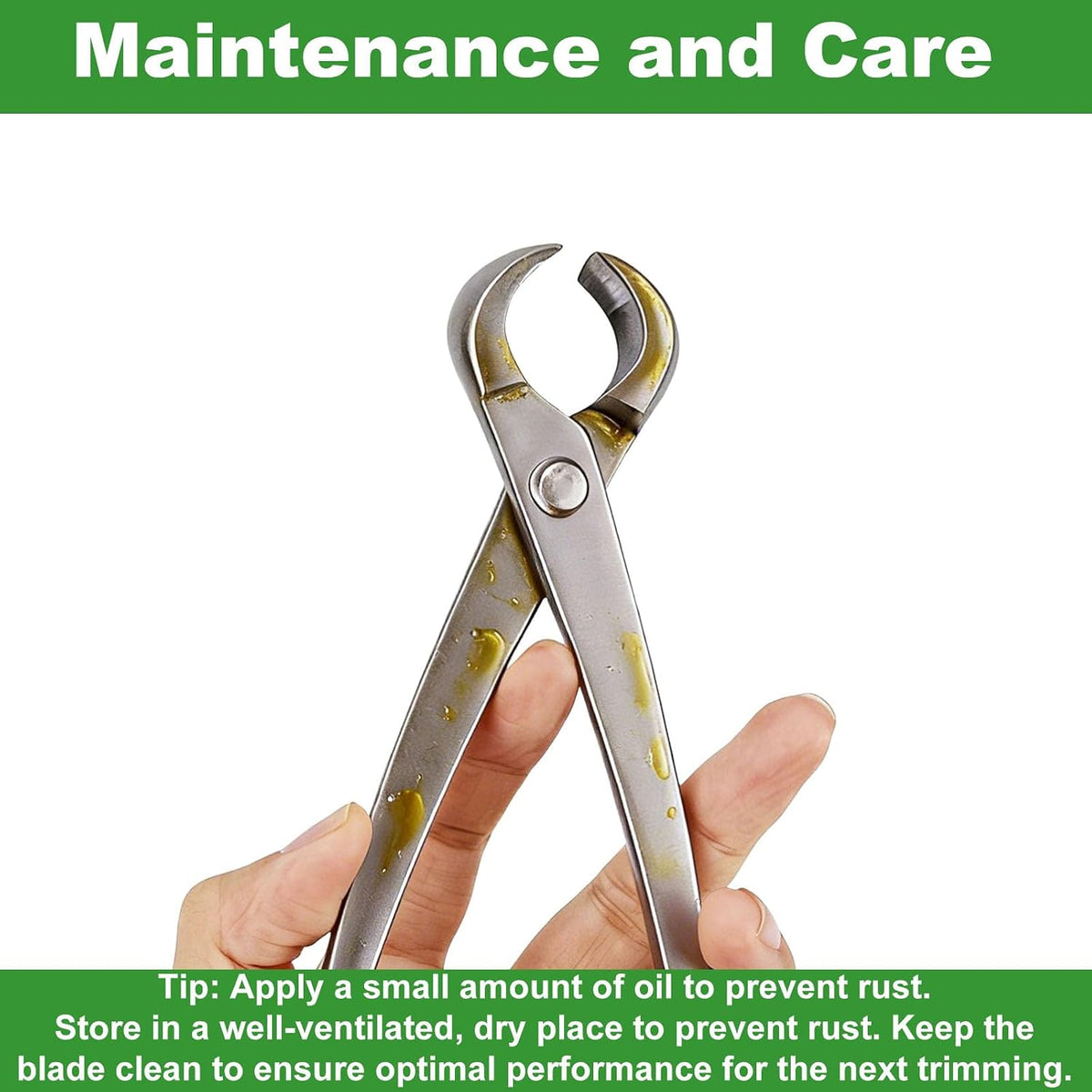 3pcs Bonsai Tool, Professional Stainless Steel Bonsai Trimming Kit with Knob ...