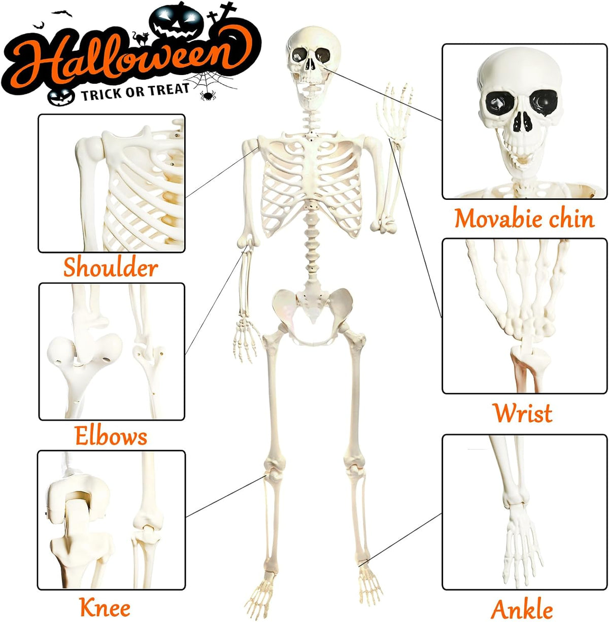 5.4FT Life Size Posable Halloween Skeleton Decorations, Full Body Realistic P...