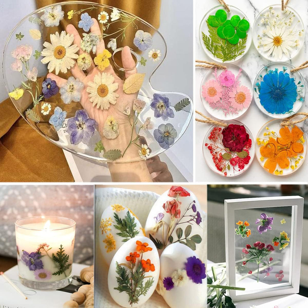 15 Types 37pcs Red Dried Pressed Flowers for Resin Molds,YouthBro Real Natural Pressed Flowers for DIY Art Crafts,Candle Making, Nails Décor,Soap Making, Phone Case