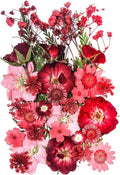 15 Types 37pcs Red Dried Pressed Flowers for Resin Molds,YouthBro Real Natural Pressed Flowers for DIY Art Crafts,Candle Making, Nails Décor,Soap Making, Phone Case