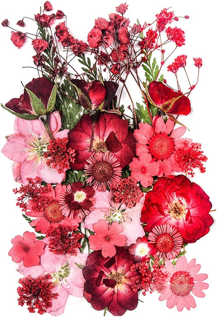 15 Types 37pcs Red Dried Pressed Flowers for Resin Molds,YouthBro Real Natural Pressed Flowers for DIY Art Crafts,Candle Making, Nails Décor,Soap Making, Phone Case