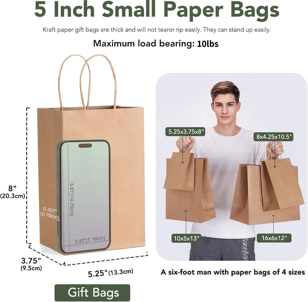 GSSUSA Brown Paper Bags 5.25x3.75x8 20Pcs, Small Gift Paper Bag with Handles Bulk, Graduation Gift, Sturdy Kraft Paper, Retail Shopping Bags, Party Favor, Christmas