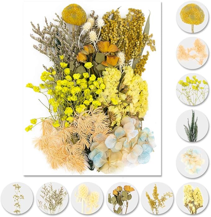 Vignee Real Dried Pressed Leaf Flowers-Multiple Colorful Pressed Flowers Daisies for Craft Resin Jewelry Making Art Craft DIY and Soap Candle Scrapbooking DIY Resin（Yellow）